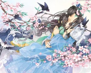 红杏四叶草入口